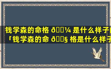 钱学森的命格 🌼 是什么样子的「钱学森的命 🐧 格是什么样子的图片」